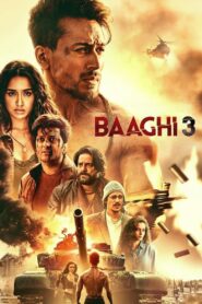 Baaghi 3